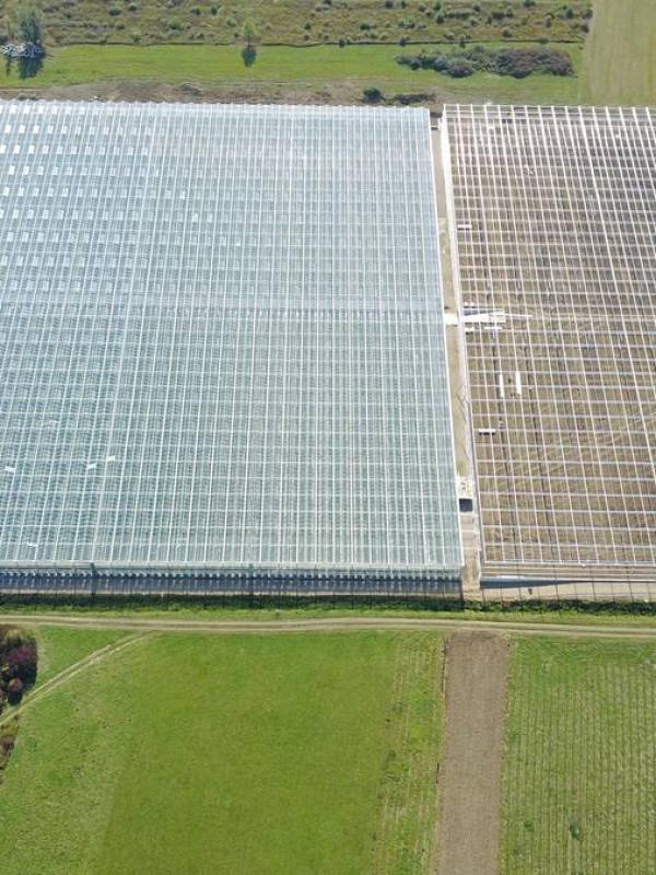 Procjena vrijednosti staklenika za hidroponski uzgoj rajčica Sveta Nedelja